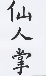 JT-CZ Nr. 76 Shien-Dschen-Chang - die Hand der Schutzgotthei.jpg